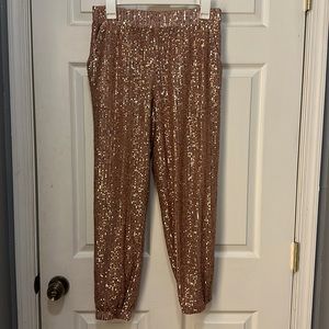 LOFT Sequined Pant Set